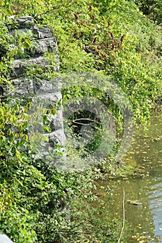 Rock structure along a riverbank on a sunny afternoon