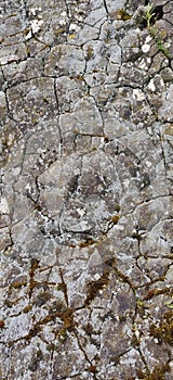 Rock Structure of german Climbing Area Scharfenstein Gudensberg near kassel