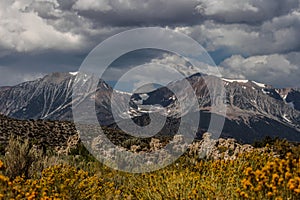 Rock structures and yellow flowers high mountains in background