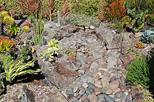 Rock and succulents landscaping photo