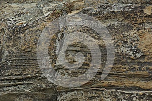 Rock surface background texture weathering the ravages of time