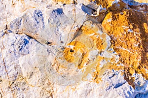 Rock Surface Detail