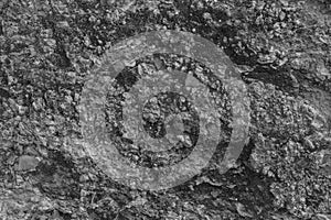 Rock texture grey
