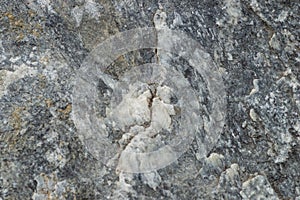 Rock Texture grey stone background close up