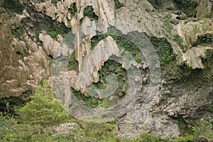 rock texture with moss, green and ground photo