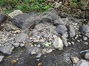 rock texture of a small river when the water recedes in a village in Indonesia 22