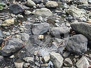 rock texture of a small river when the water recedes in a village in Indonesia 24