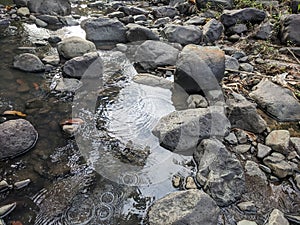 rock texture of a small river when the water recedes in a village in Indonesia 25