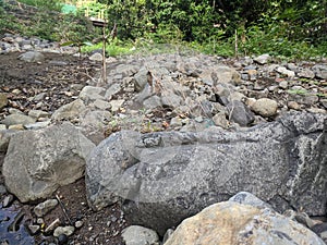 rock texture of a small river when the water recedes in a village in Indonesia