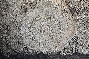 Rock texture. The texture of the rock rock located in the Kara-Dag natural reserve. Rocks of the Karadag.
