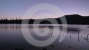 Rock thrown in lake creates ripples. Rural forest area during blue hour sunset.