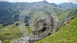Rock to form of elephant in a natural park of Montenegro.