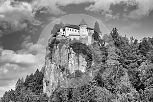 Rock top bled castle near city of Bled in Slovenia