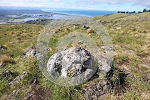 Rock on top of Christchurch observation