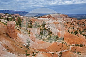 Rock towers Hoodoos in National Park Bryce Canyon, USA