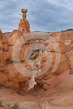 Rock towers Hoodoos in National Park Bryce Canyon, USA