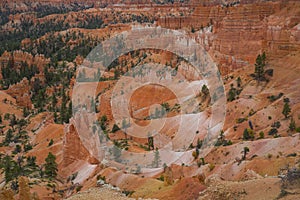 Rock towers Hoodoos in National Park Bryce Canyon, USA