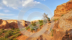 Rock towers and sandstone formations