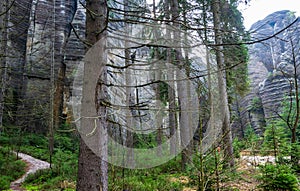 rock town in Adrspach, Czech Republic