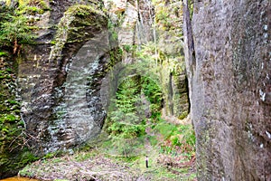 rock town in Adrspach, Czech Republic