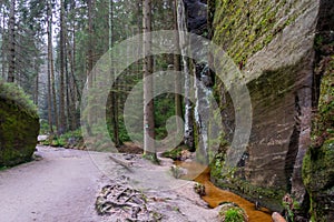 rock town in Adrspach, Czech Republic