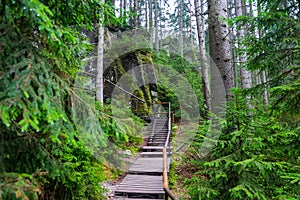 rock town in Adrspach, Czech Republic