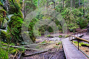 rock town in Adrspach, Czech Republic