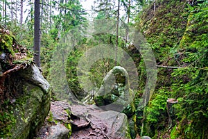 rock town in Adrspach, Czech Republic