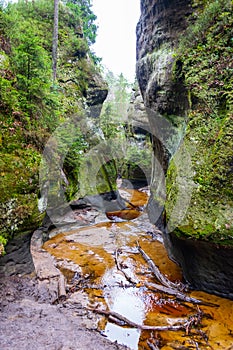 rock town in Adrspach, Czech Republic