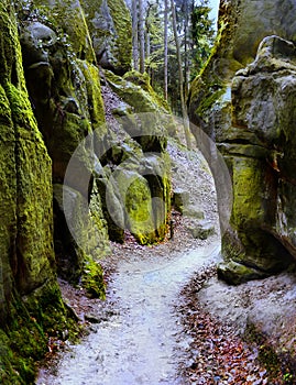 Rock Town Adrspach, National Park, Czech Republic