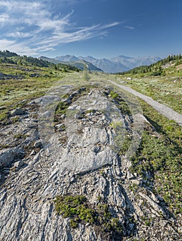 Rock and Trail in Sunshine Meadows