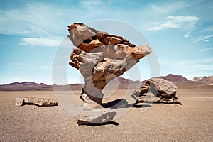 Rock Tree Arbol de Piedra in Bolivia