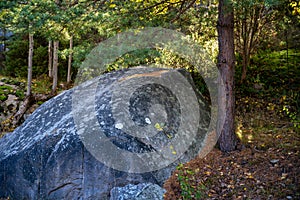 A rock among trees in a forest. Picture from Hamburgsund, Vastra Gotaland county, Sweden photo