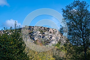 A rock with trees and green grass. Picture from Hamburgsund, Vastra Gotaland county, Sweden photo