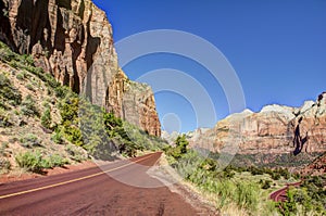 Rock, Trees, Roadway Zion National Park