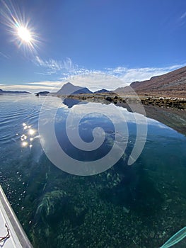 Rock under water in Tasermiut, South Greenland