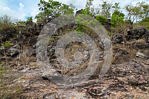 The rock walkway in the nature foest at thailand