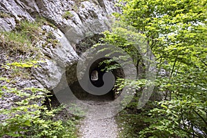 Rock wall with entrance to the tunnel cave in Jura mountains, hiking path trail, light at the end of tunnel. Green trees. Gorges