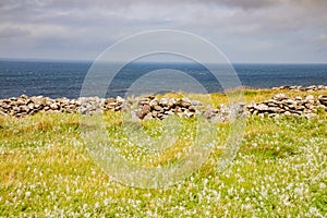 Rock wall, ocen and vegetation in coastal trail