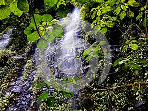 Waterfall and Vegetation, `Avance` Costa Rica photo