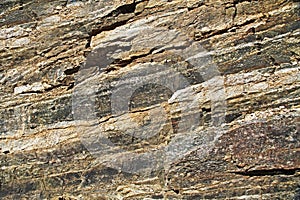 Rock Wall Texture on Mount Lemmon