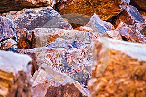 Rock wallaby in the cliffs of West MacDonnell national park in the Northern Territory, Australia