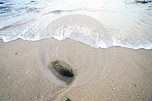 Rock and wave on the Ao Sen beach Phuket