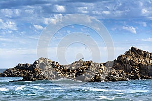 Rock of the wolves. Cobquecura Coast, Chile photo