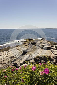 The Rockbound Coast at Two Lights State Park Maine