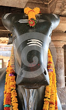 Rockcut Sculpture of Nandi at Shrine, Virupaksha Temple photo