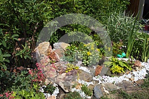 Rockery photo