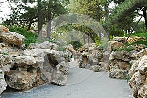 Rockery photo