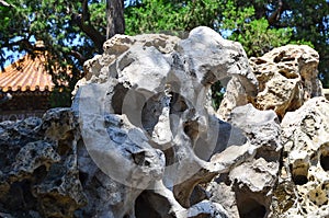 A rockery in the forbidden city