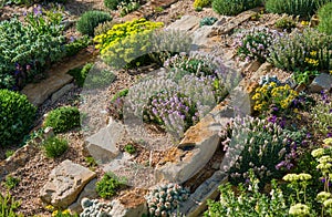 Rockery Garden